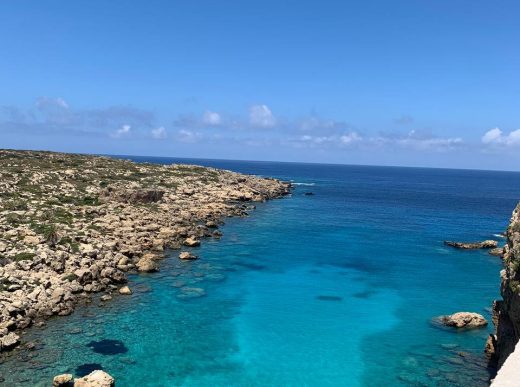 Чтение Дворца Жизни в Ци Мень: Ворота Отдыха и Звезда Небесная Трава