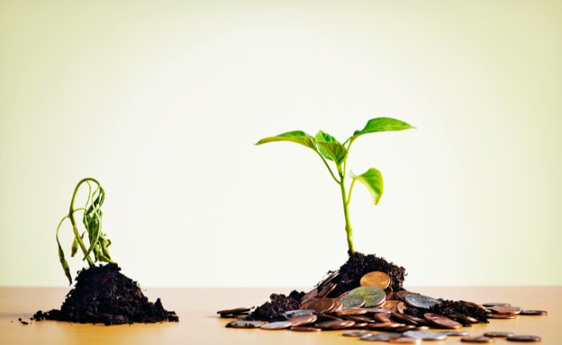 дни без богатства