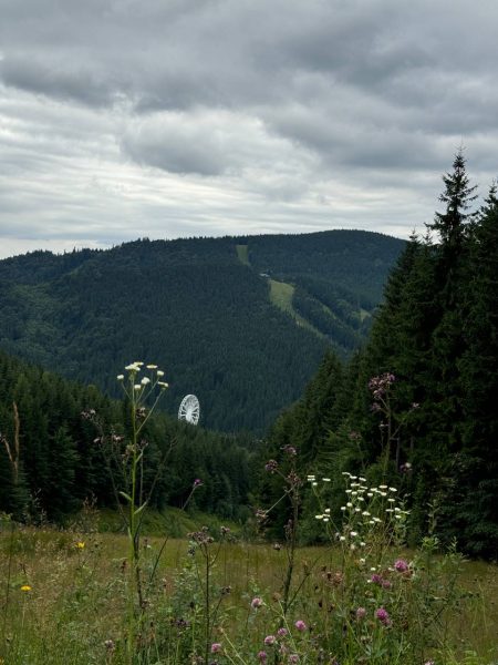 «Осенний набор по обучению Китайской метафизике: старт 20 августа и 1 сентября»