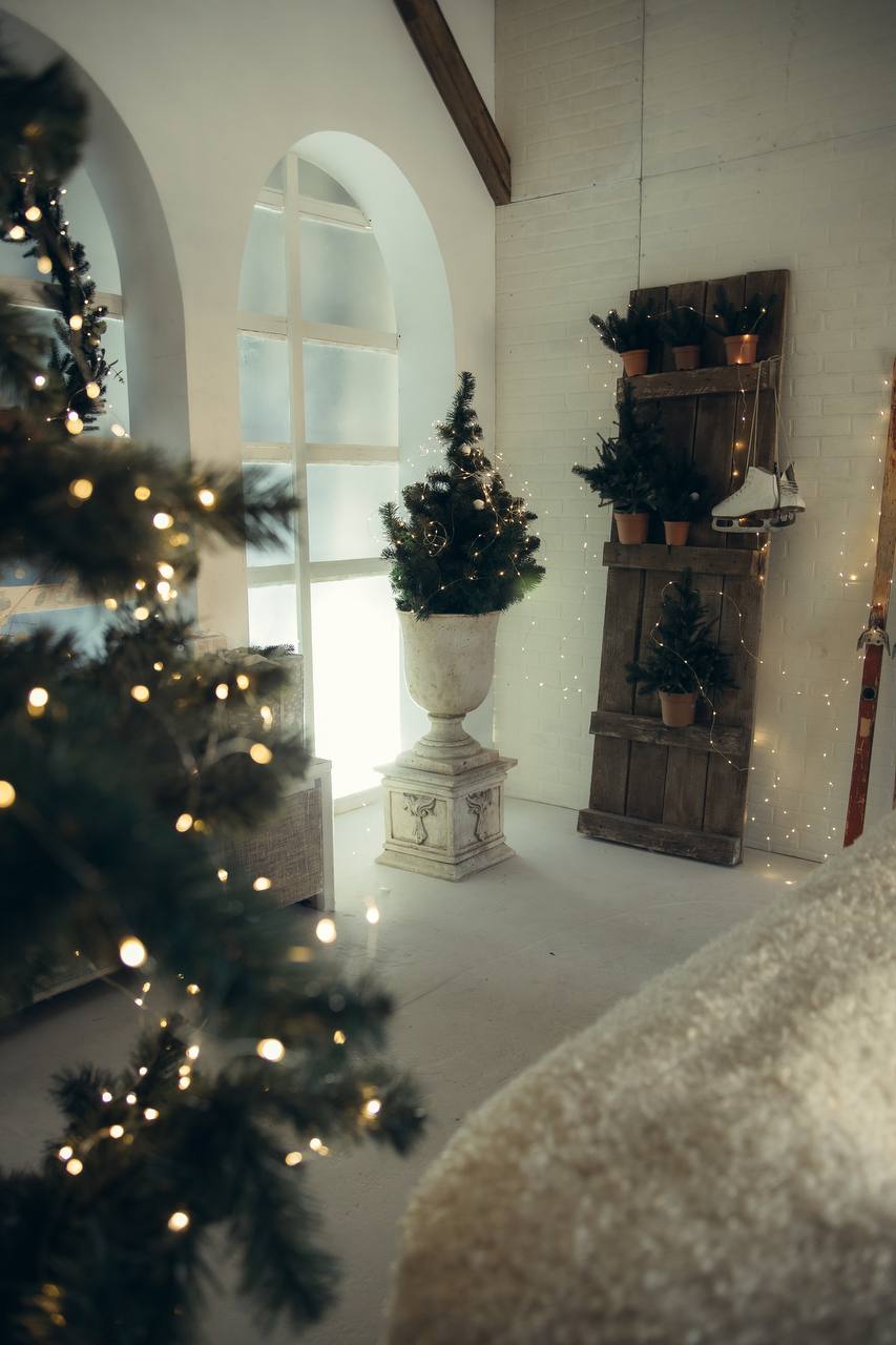 Фэн-шуй 2025 2 часть