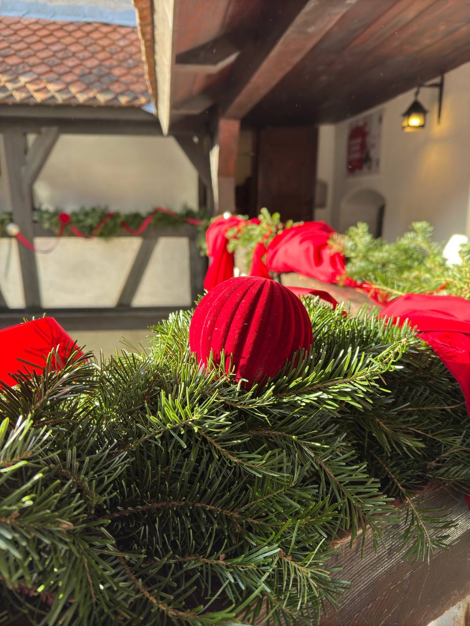 Очищение декабря 2024